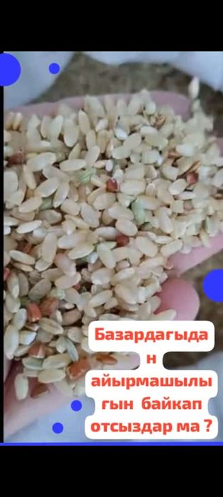 Орыс секс қызбен