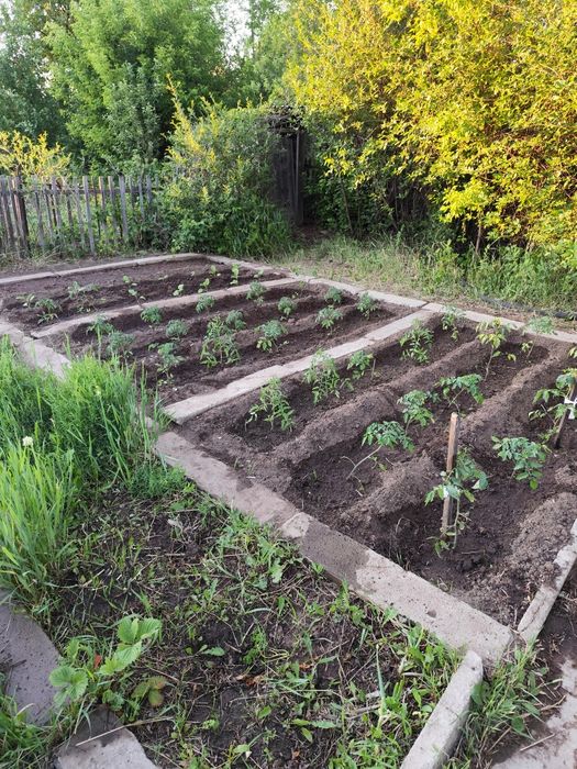 Продается дача  Федоровский дачи