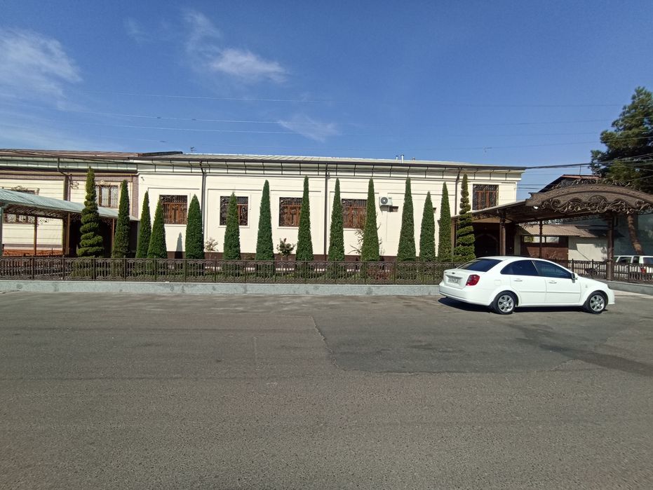 Gazon. Archalar. Landshaft. Gullar