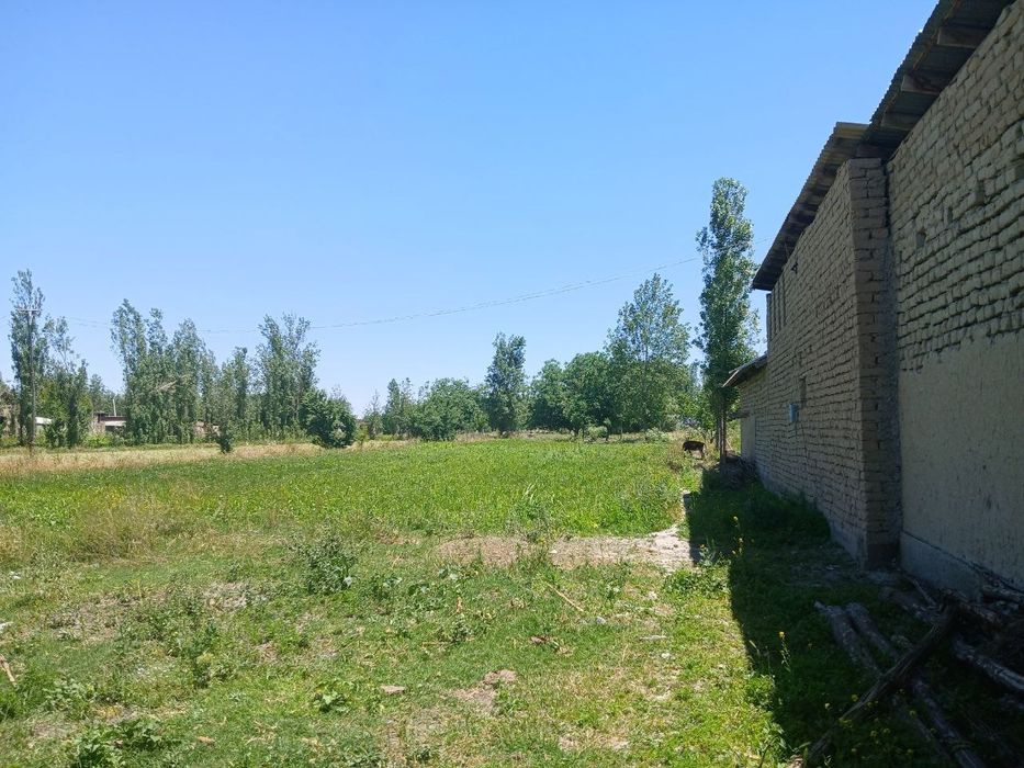 20 so‘tixli uy joy