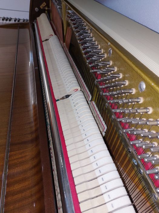 Pianina Sauter  ( mecanică Renner nemțească, transport gratuit)