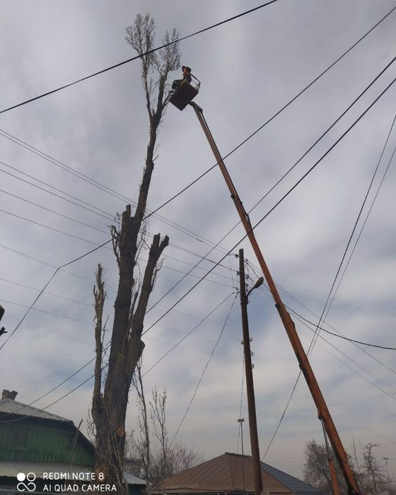Спил деревьев от 10000тг