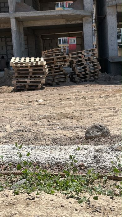 Продам палет в количестве 100штук
