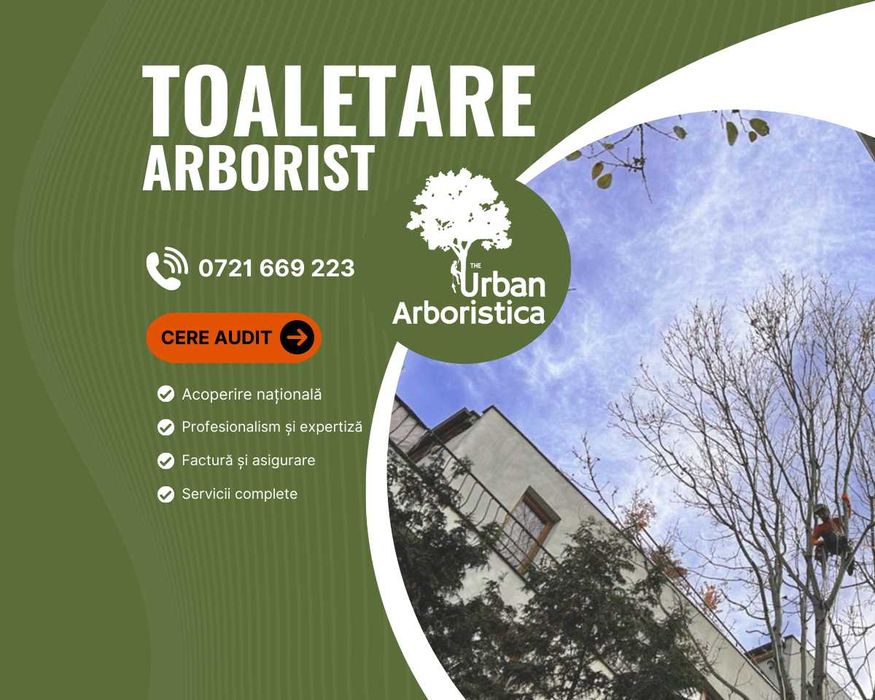 Sibiu Doborare Taiere Defrisare  - Copaci Arbori Taiat Pomi Transport