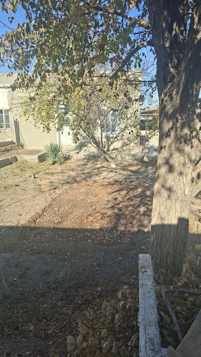 Uy sotiladi navoiy viloyati qiziltepa tumani  malikchoʻl qishlogi.