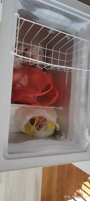 Морозильный ларь Midea AS 260C