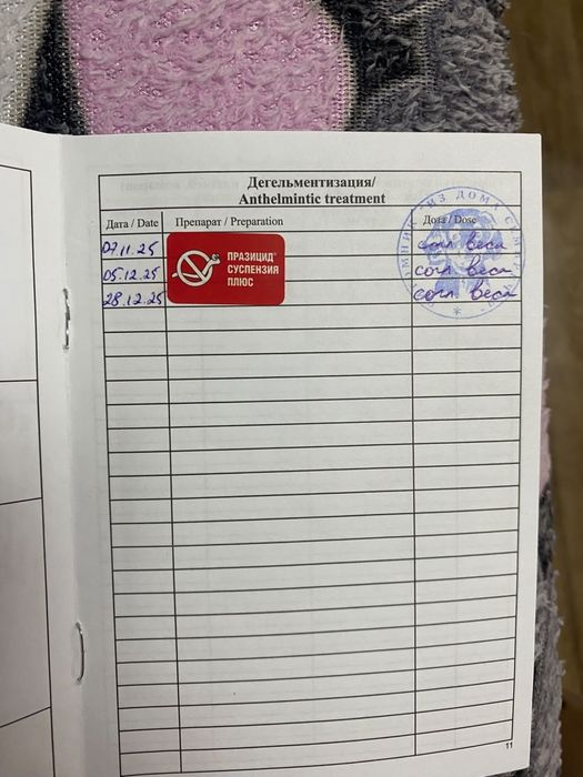 Продам Немецкий шпиц