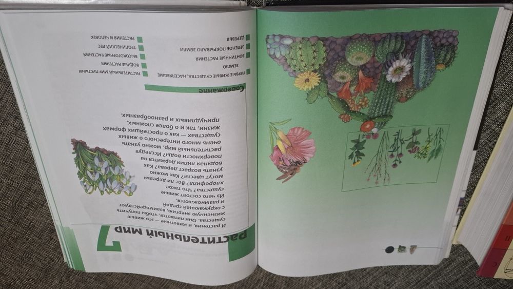 Две энциклопедии за 5000тг