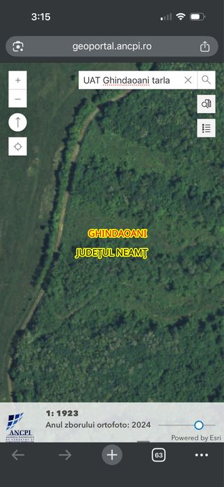 Vând pădure 1,5 ha – Ghindăoani, județul Neamț