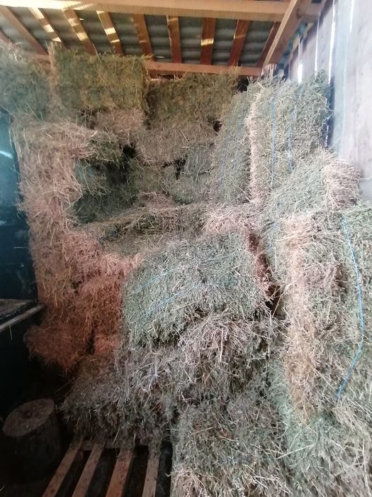 Baloți paie de orz, iarbă , lucernă