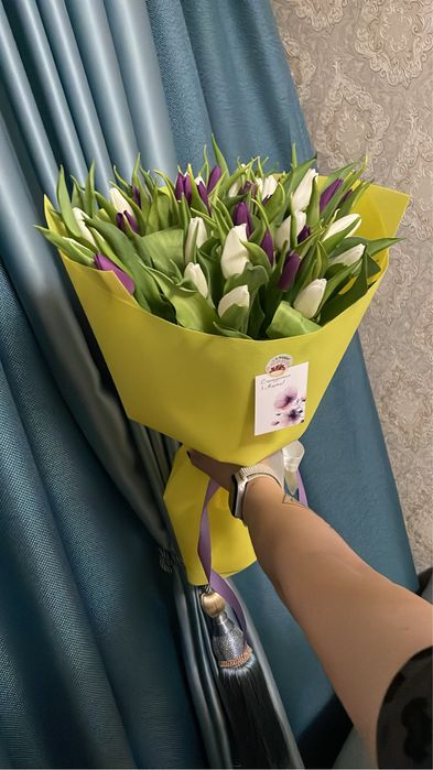 Тюльпаны голландские