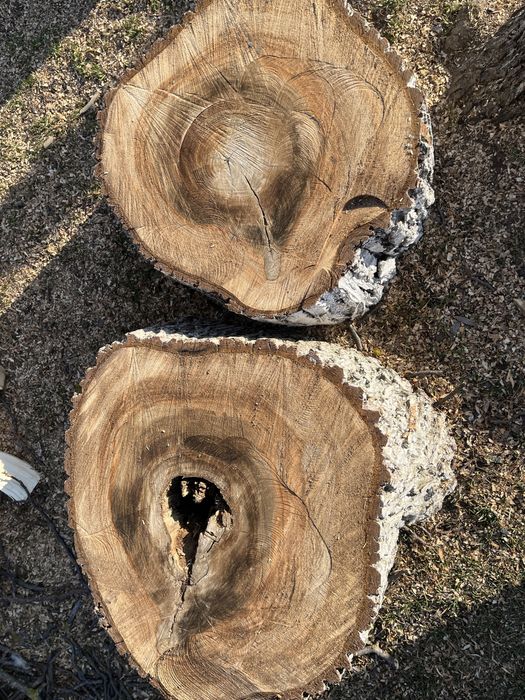 De vânzare trunchi nuc