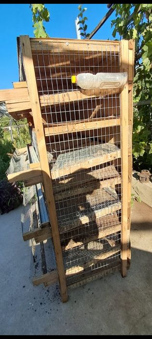 Клетка для бодене