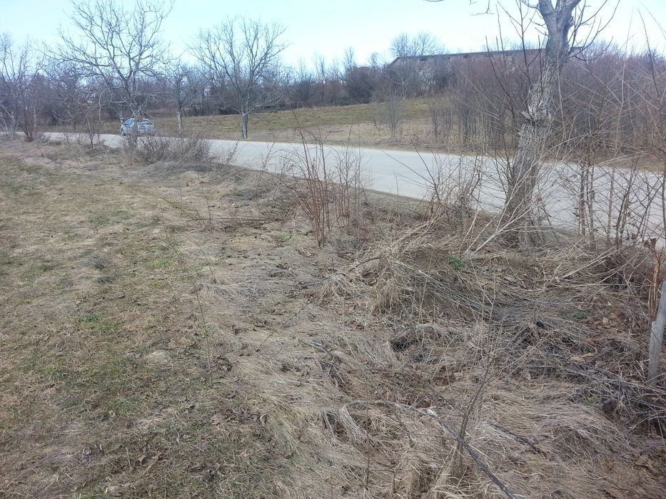 Парцел 2500 кв. м. Между с. Беляковец и В. Търново.