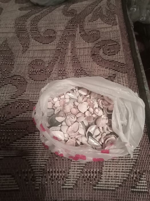 Ракушки аквариумные