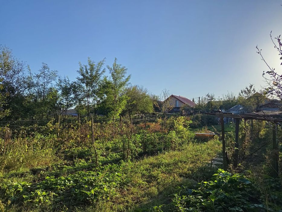 Casa de vânzare  Tg frumos