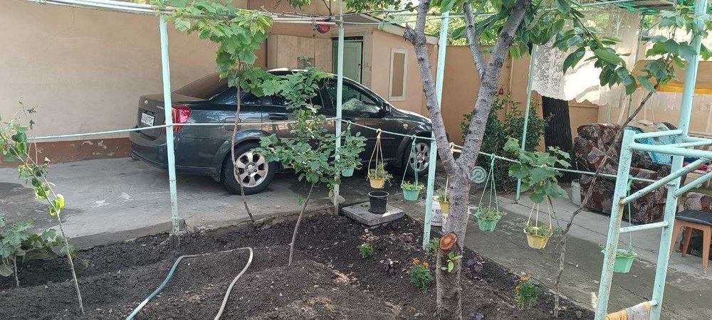 Сдаётся в аренду ДОМ 3ком. в центре! 450$