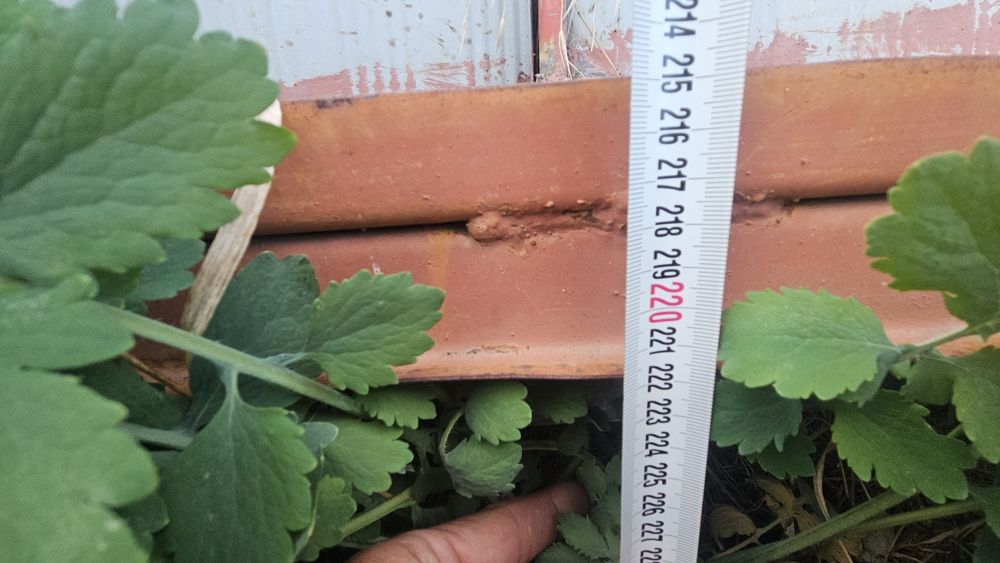 Метални ферми хале покрив конструкция метал конструкции