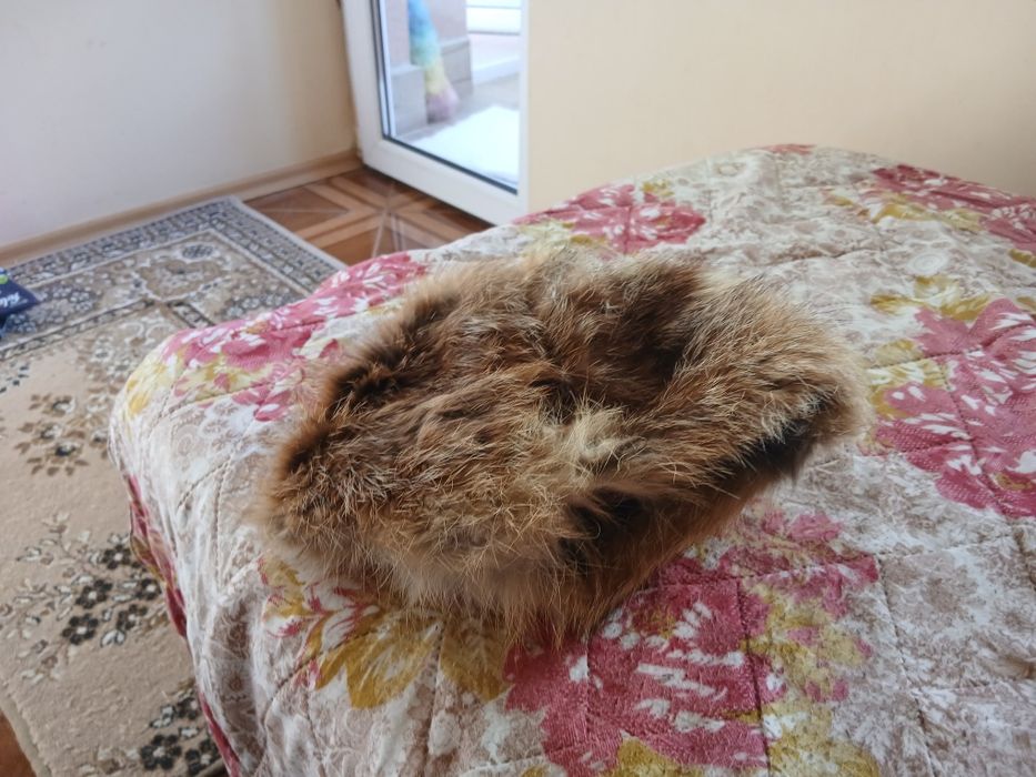 Зимна шапка от лисица