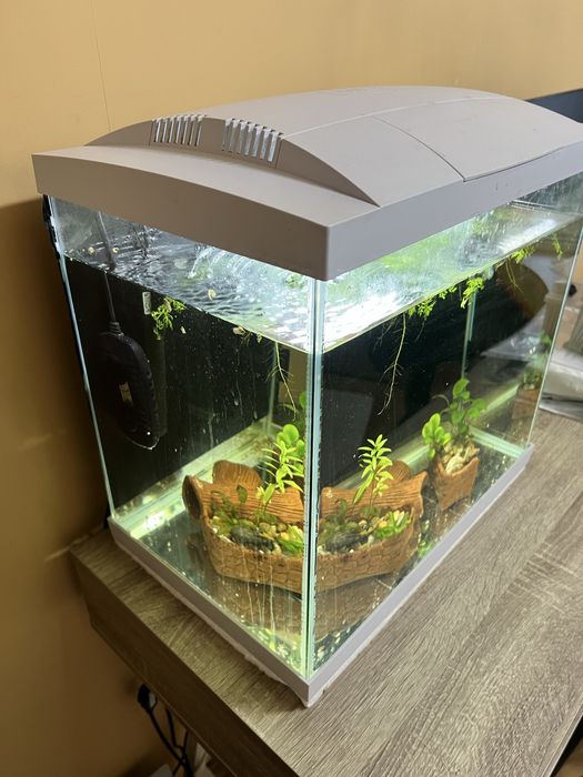 55 литров аквариум