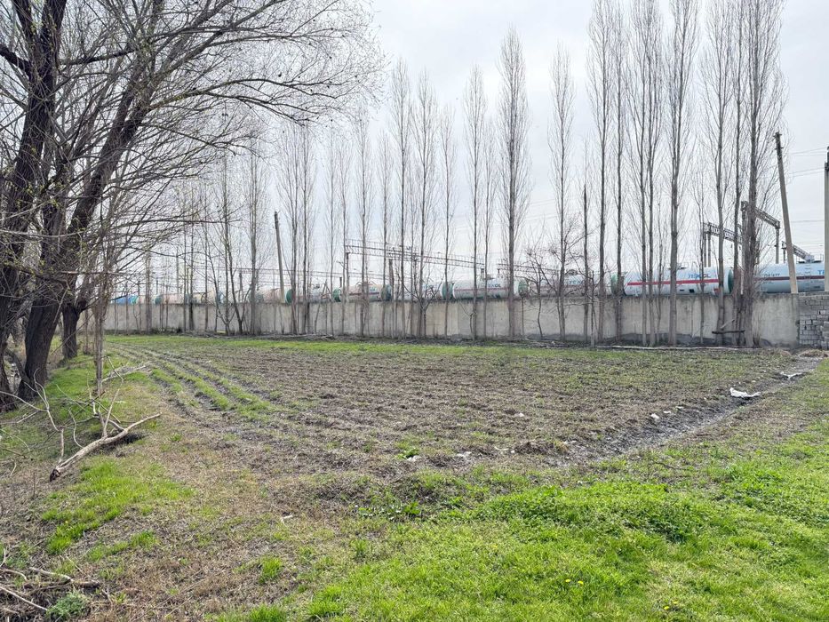 Yer oling — foyda qiling!