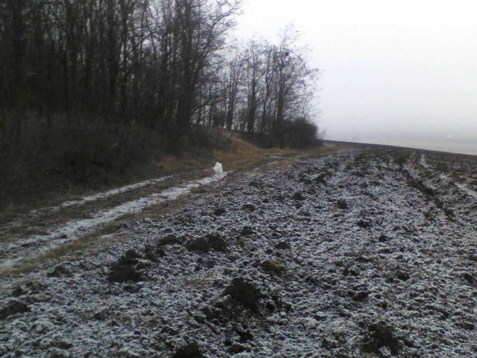 3200 mp Teren langa padure Romsilva, Raducaneni