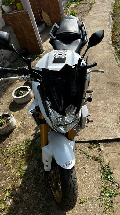 Yamaha FZ8 inmatriculata