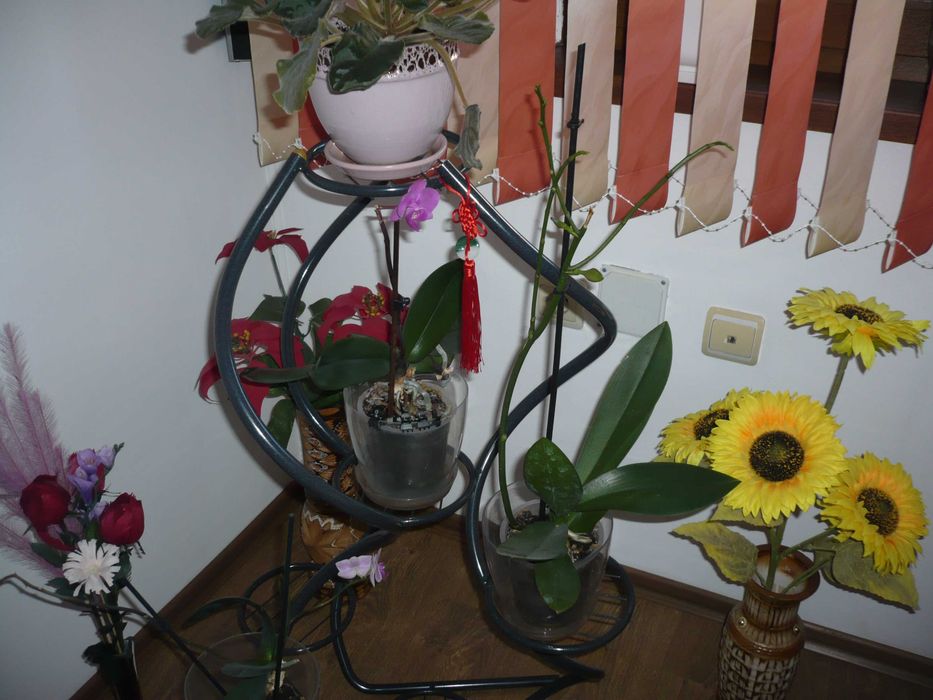 Panasonic Lumix DMC-FX10