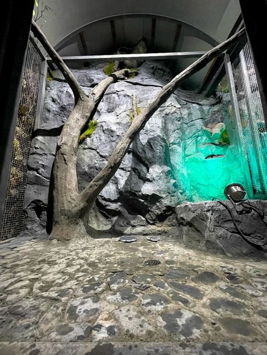 Декоративные камень