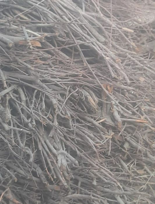 Oʻtin sotiladi 2 Isuzu