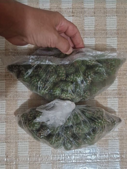 Продам шишки сосновые