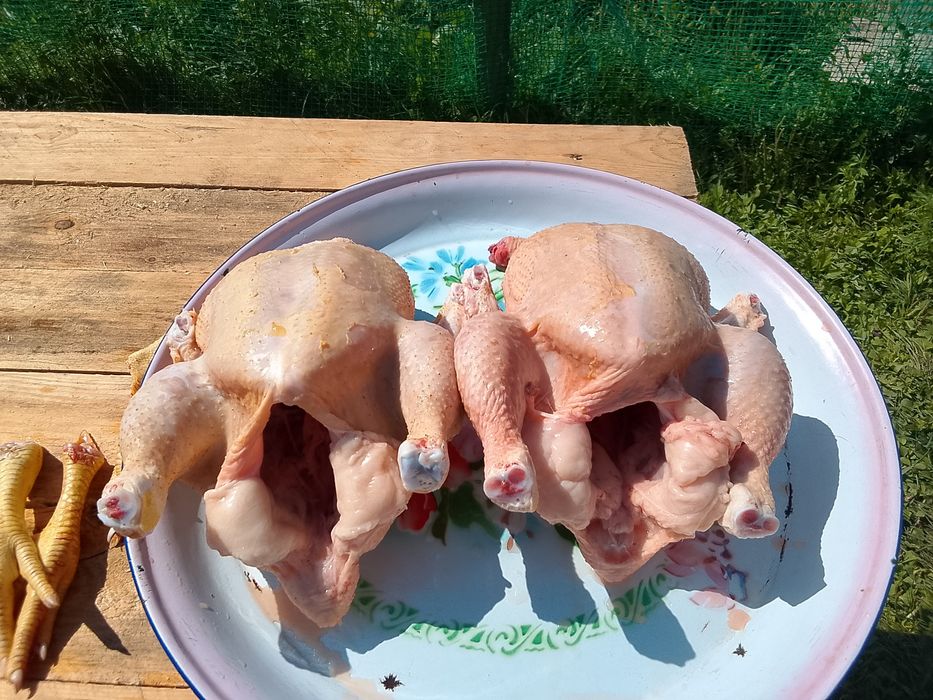 Продам домашних бройлеров!