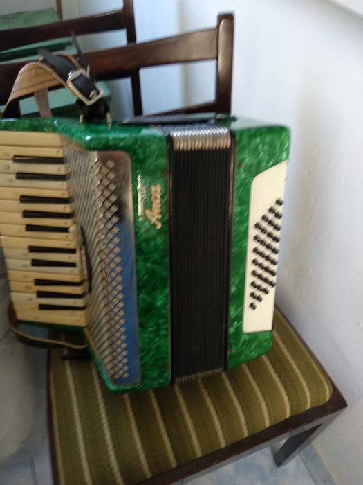 Vand acordeon Anca 48 de basi