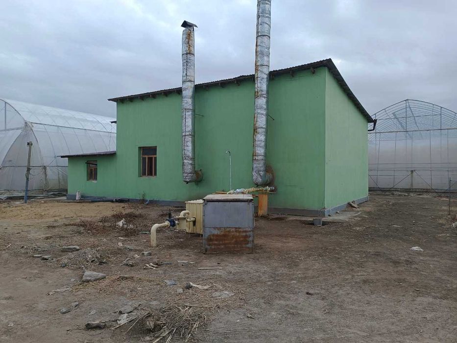 Zamonaviy tipdagi issiqxona