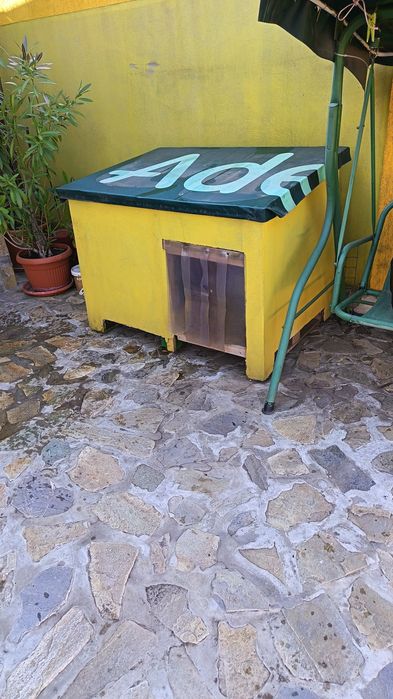 Vând doua cuști câine