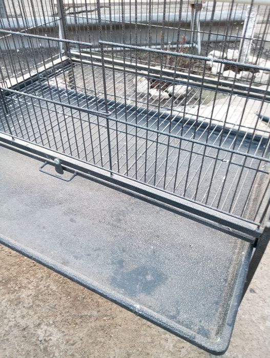 Colivie voliera cușcă papagali