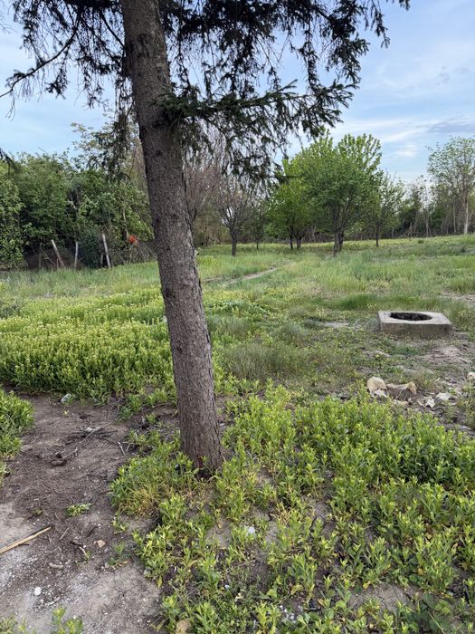 Продава се Къща в с. Покрайна, Област Видин - 120 кв.м за 213 €/кв.м - Снимка #14