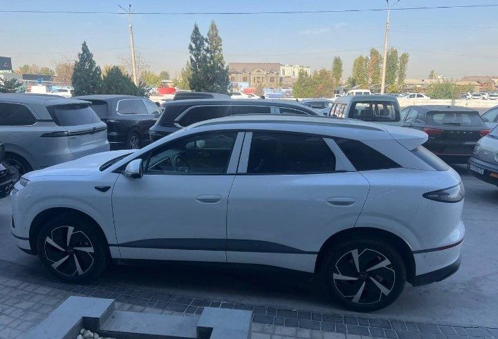 BYD seolion 06 full positisa