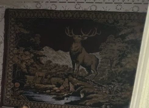 Vand carpete vechi de colectie