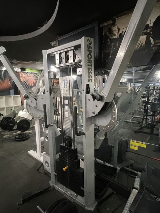 Професионален двоен скрипец Life Fitness