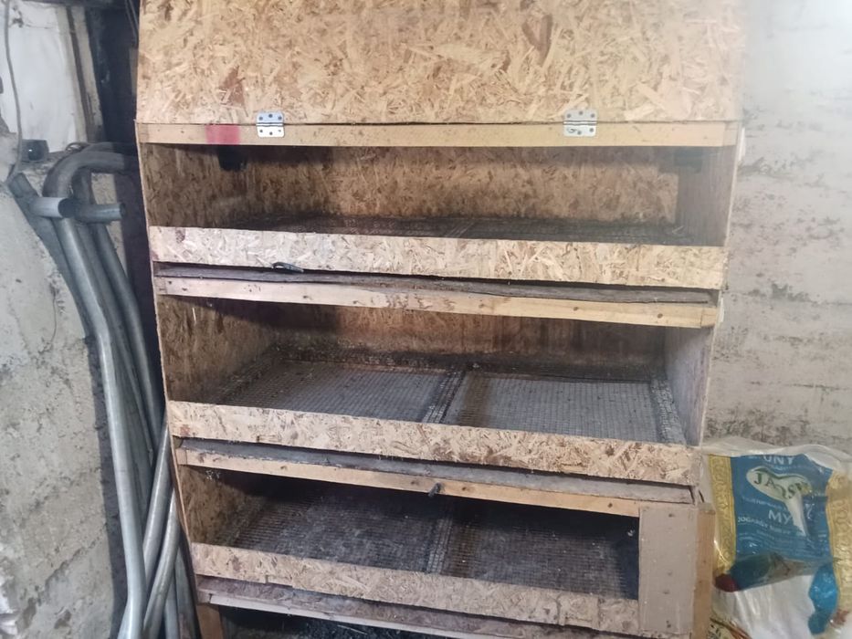 Брудер для цыплят