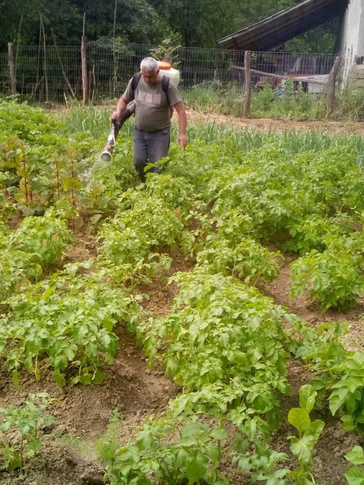 Servicii de tuns și cosit iarba