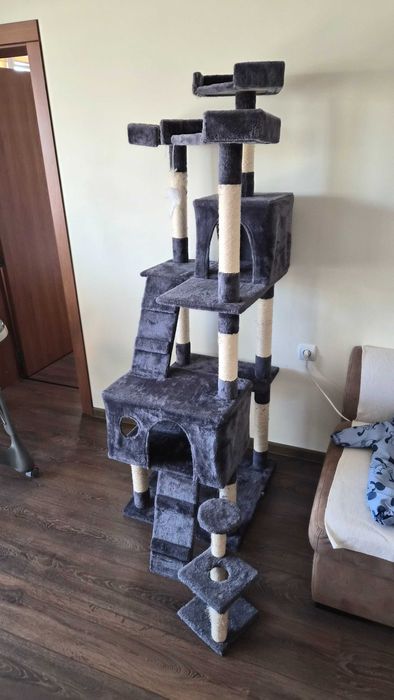 Котешка катерушка