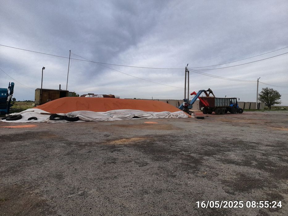 Действующее крестьянское хозяйство.