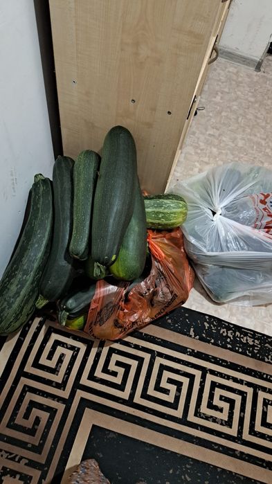 Продам  свежие хорошие кабачки