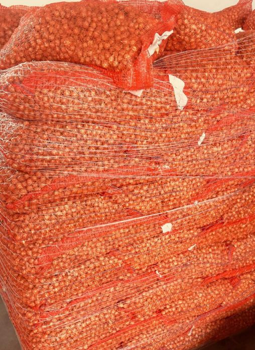 Vand usturoi și arpagic