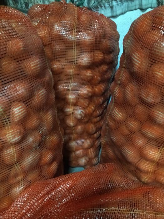 Картофель семенной сорт Гала