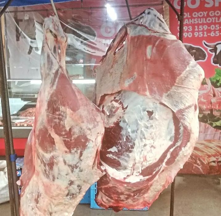 Qoylar bor 60kilodan 150 kilo gacha trigi