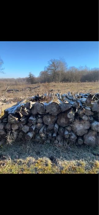 Vand lemne. … USCATE…. amestec de stejar, carpen, maracine, jugastrul.