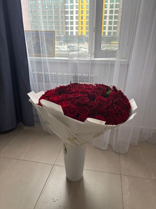 101 роза Свежие сегодня